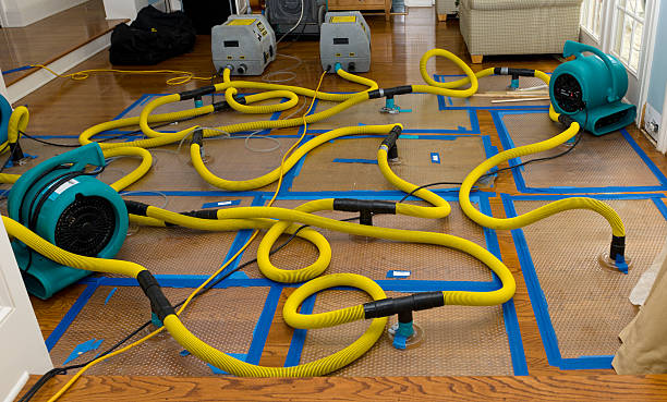 Professional Crawl Space Water Removal technician working in Wood River, NE